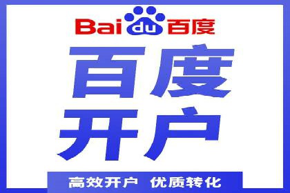 百度广告投放策略与效果评估案例